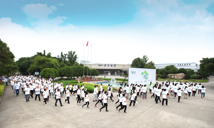 專(zhuān)題報(bào)道