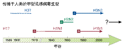 禽流感是一種實驗室病毒 禽流感是一種實驗室病毒