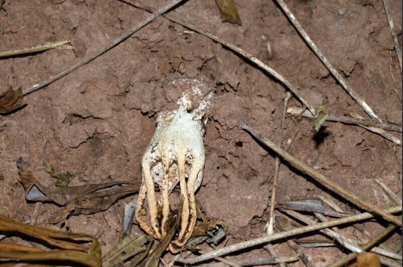 圖片關鍵詞 圖片關鍵詞