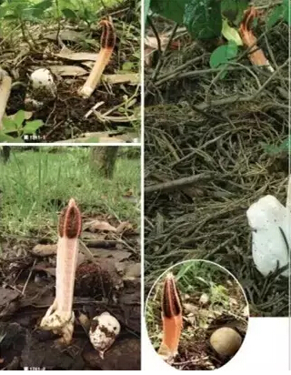 圖片關(guān)鍵詞 圖片關(guān)鍵詞