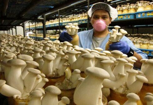 圖片關鍵詞 圖片關鍵詞