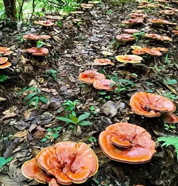 圖片關鍵詞 圖片關鍵詞