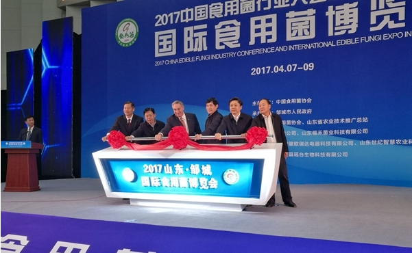 點(diǎn)擊打開原圖 QQ截圖20170410085957