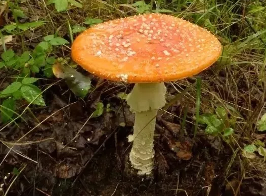 圖片關鍵詞 圖片關鍵詞