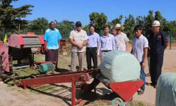 圖片關鍵詞 圖片關鍵詞