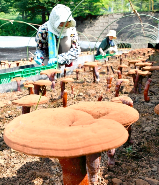 圖片關(guān)鍵詞 圖片關(guān)鍵詞