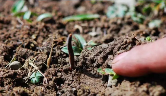 圖片關鍵詞 http://www.wasaouro.com/ewebeditor/uploadfile/20180814102741148001.png