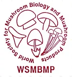 圖片關鍵詞 圖片關鍵詞