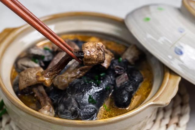 國家蘑菇地理：中國哪里的蘑菇最好吃？