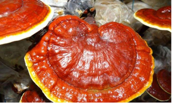 圖片關鍵詞 圖片關鍵詞