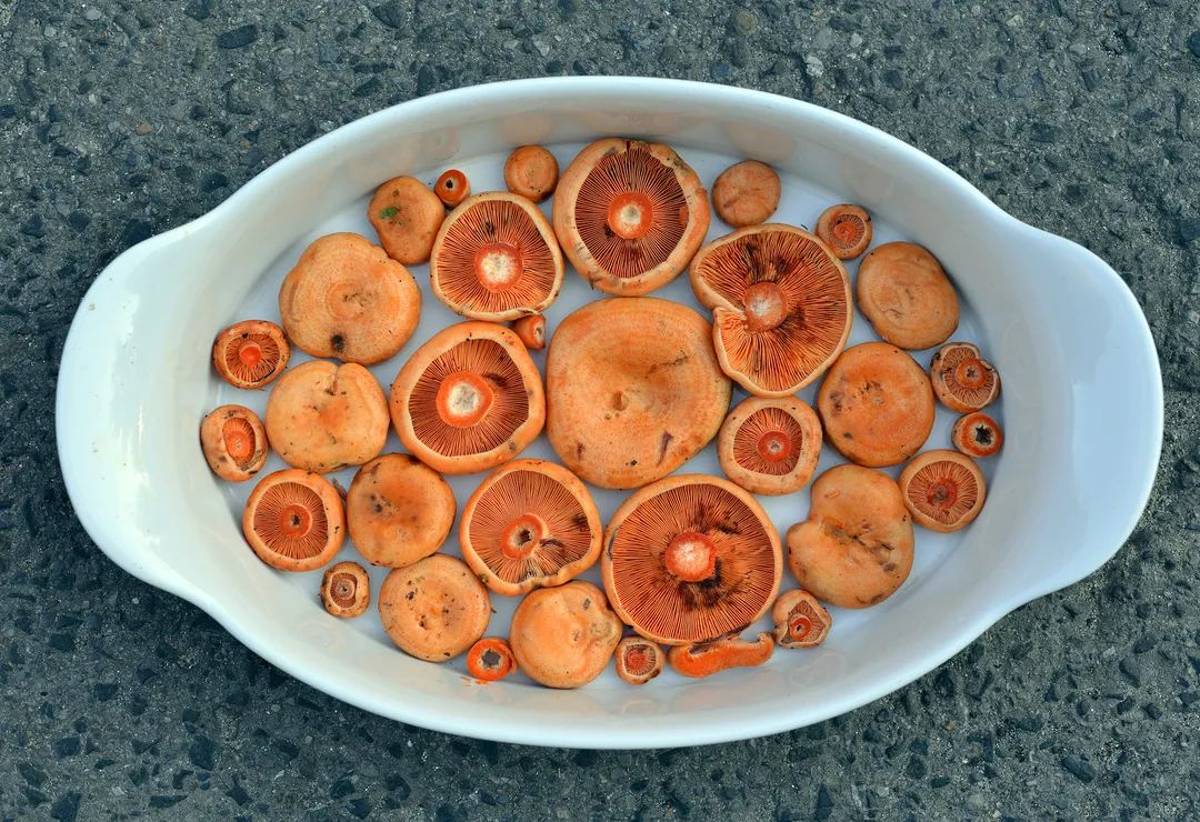 圖片關鍵詞 圖片