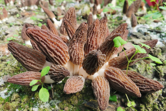 圖片關鍵詞 圖片