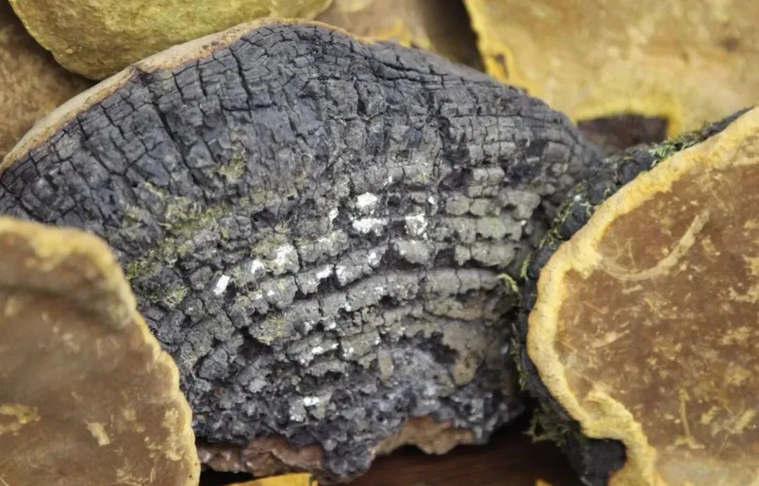 圖片關鍵詞 https://mmbiz.qpic.cn/mmbiz_jpg/OnRbAd1HL46sVcl570OYuibmGIXNnCB5kcjZibeJwSBibWHewUFqfpkrWWOSQ7NYfiaY8ewjw8mwruLL0M0FhGXLqQ/640?wx_fmt=jpeg