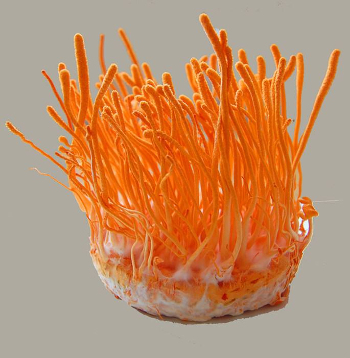 圖片關鍵詞 圖片關鍵詞