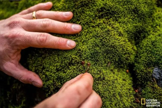 圖片關鍵詞 圖片關鍵詞