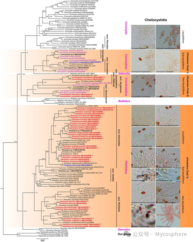 圖片關鍵詞 圖片關鍵詞