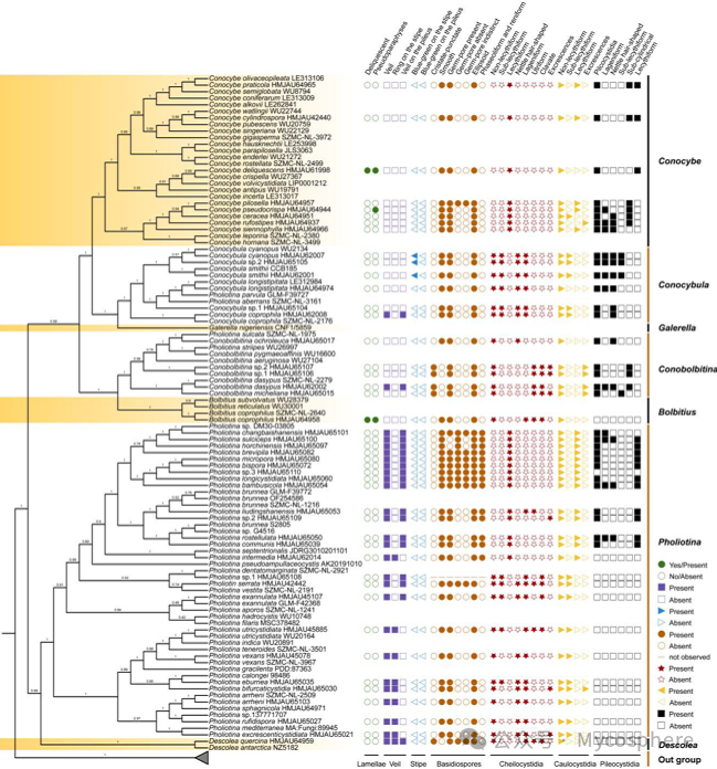 圖片關鍵詞 圖片關鍵詞